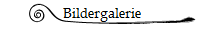Bildergalerie